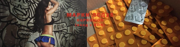 прущий лед Аркадак