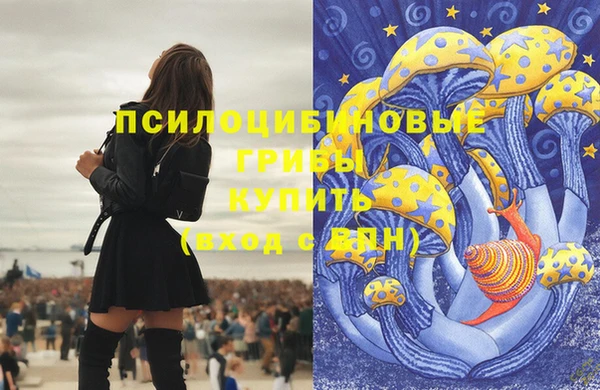 МДПВ Семилуки