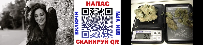 Шишки марихуана гибрид  купить наркоту  Валдай 